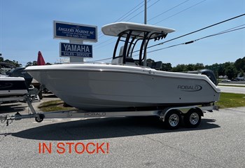 2025 Robalo R222 Alloy Gray Boat
